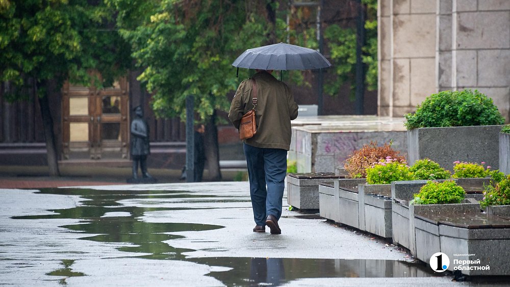 Прохладно и дождливо будет в Челябинской области 27 июля