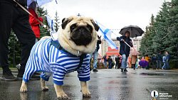 Автопробег в честь Дня ВМФ прошел в Челябинске