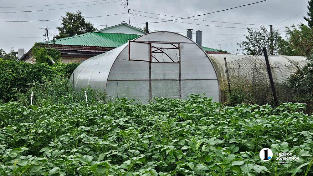 Школьники из Магнитогорска изобрели умную теплицу