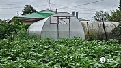 Школьники из Магнитогорска изобрели умную теплицу