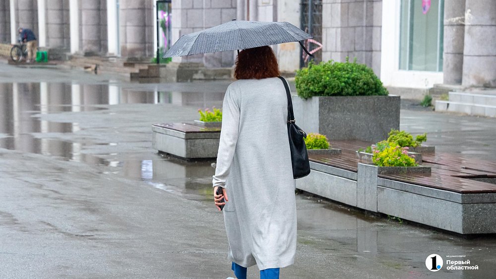 Погода в Челябинской области сохранится дождливой 28 июля