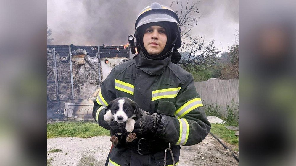 Четверых щенков спасли сотрудники МЧС из горящего дома в Челябинске