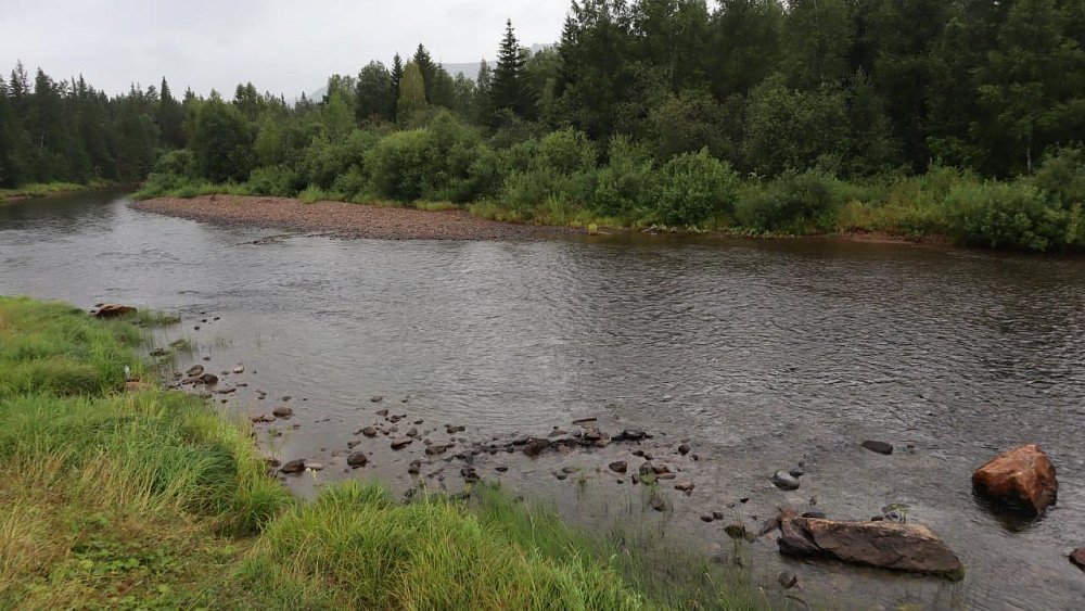 Пересохшие в нацпарке «Зигальга» родники ожили после ливней