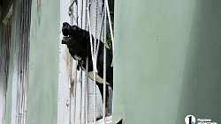 В Челябинске из-за халатности управляек двухэтажки на ЧТЗ списали под реновацию