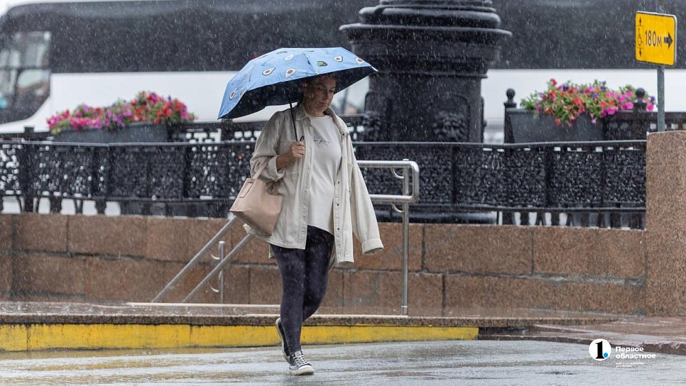 Небольшое похолодание и дождь ожидаются в Челябинской области 30 июля