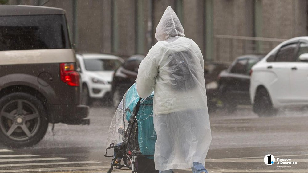 В Челябинской области пройдут дожди и усилится ветер 30 июля