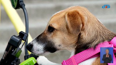 Велосипедист из Иркутска приехал в Миасс