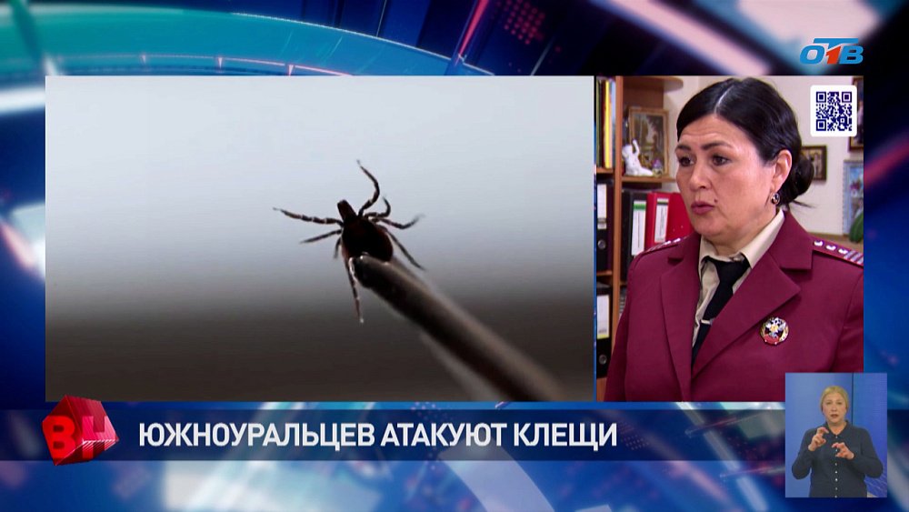 На Южном Урале участились случаи укусов клещей в «жилой зоне»