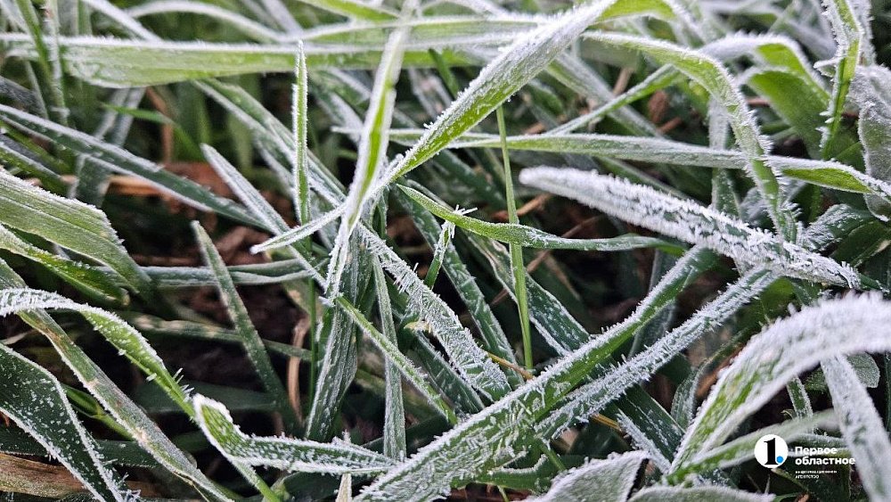 В Челябинской области температура воздуха опускалась до +1°С в июле‑2025