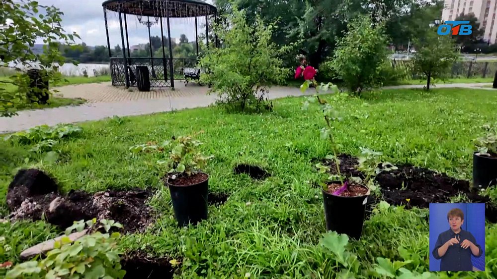 В Златоусте высаживают тысячи роз