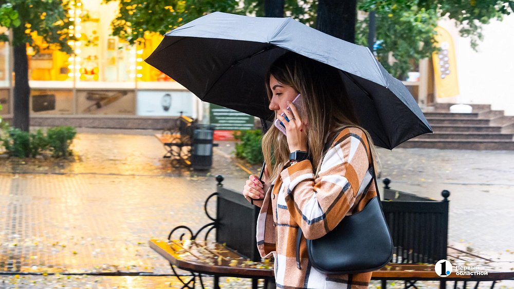 В Челябинскую область вернутся небольшие дожди 3 августа