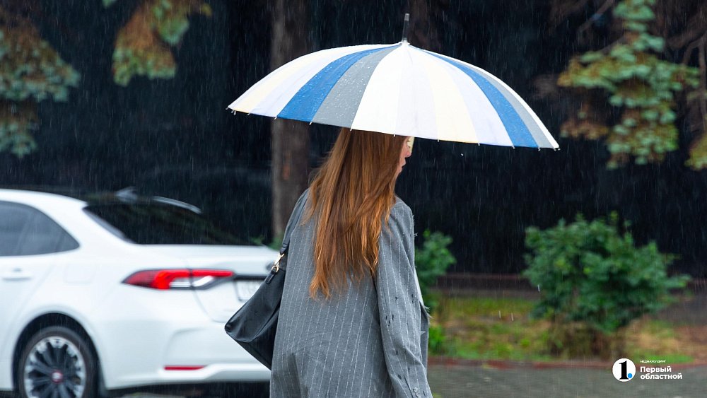Дожди с грозами пройдут местами в Челябинской области 3 августа
