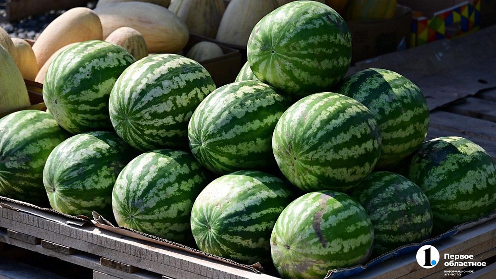 Через Челябинскую область не пустили 60 тонн арбузов и дынь из Казахстана