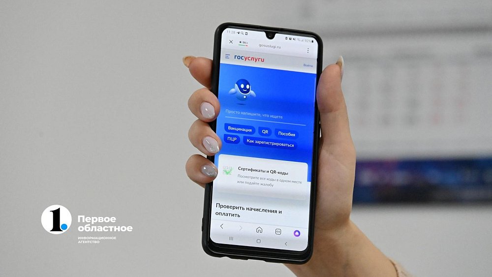 Южноуральцы обратились на платформу «Решаем вместе» почти 80 тысяч раз за полгода