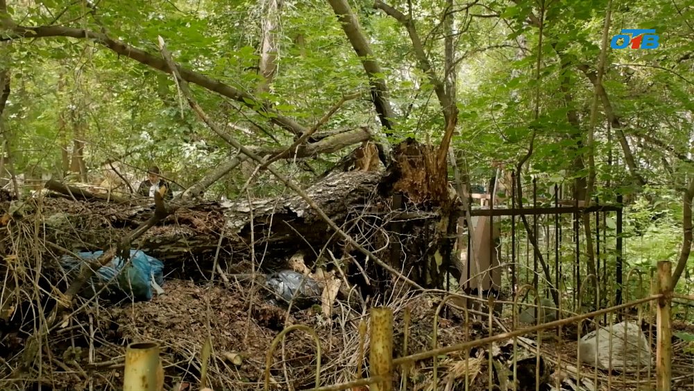 Жители Коркино расстроены состоянием местного кладбища