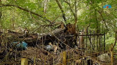 Жители Коркино расстроены состоянием местного кладбища