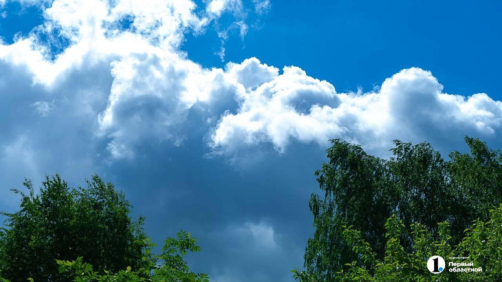 Жара до +31°C и локальные дожди ожидаются в Челябинской области 5 августа
