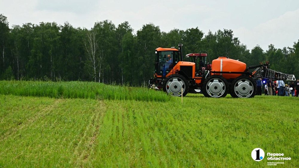 В Челябинской области запасают сено и сенаж, началась уборка силосных культур