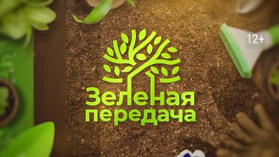 В «Зеленой передаче» расскажут о том, как избавиться от щитовки