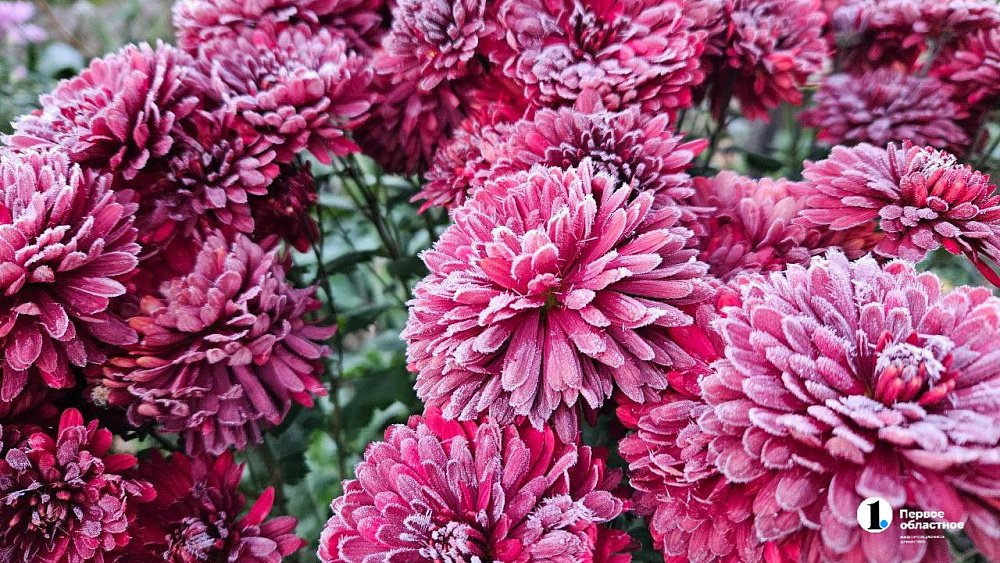 В августе в Челябинской области температура может опускаться до 0 градусов