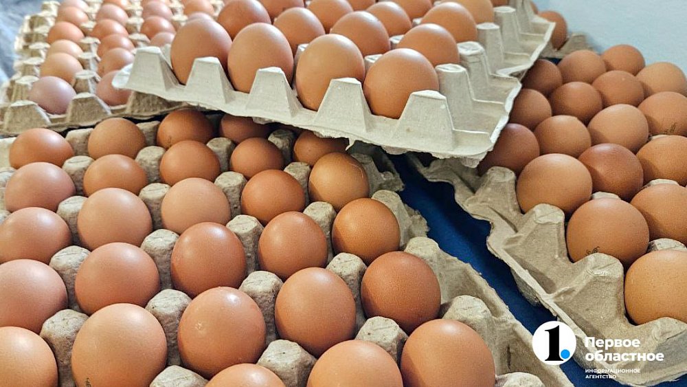 Южноуральские птицефабрики увеличили производство яиц на 4,5%