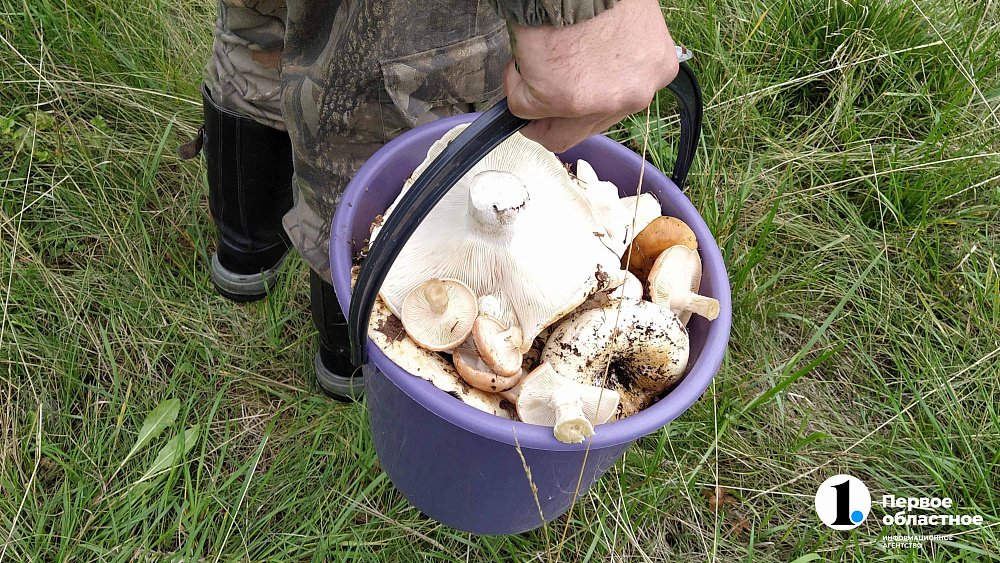 В Челябинской области полицейский спас застрявшую в лесу семью пожилых грибников