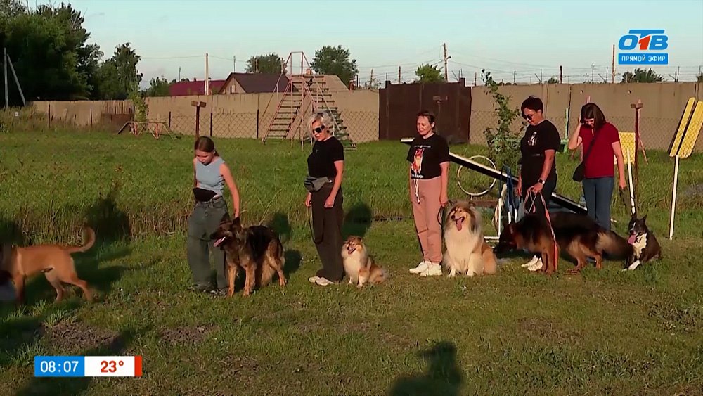 Клуб служебного собаководства в рубрике «Усы, лапы и хвост»