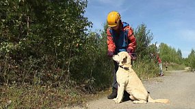 В Сатке собрались лучшие кинологи и их собаки