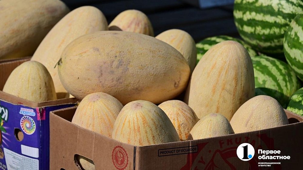 Из Челябинской области в Казахстан вернули 20 тонн дынь