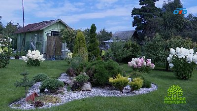 Что обязательно нужно сделать в саду в конце лета