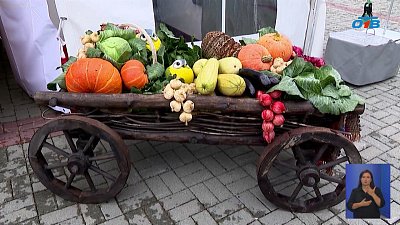 Челябинск готовится к масштабной агропромышленной выставке «АГРО-2025»