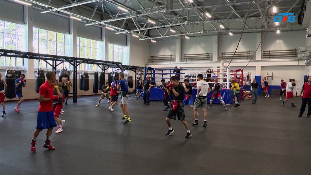 На чемпионате России по боксу выступят 11 южноуральцев