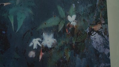 В Челябинске открылась фотовыставка «За стеклом. Тихая жизнь»