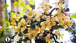 Необычный офис: челябинцы все чаще выбирают коворкинг