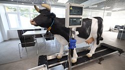 Строить молочные фермы в Челябинской области будут по проекту белорусского предприятия