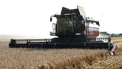 Алексей Текслер сел за руль белорусской сельхозтехники на полях Гомельщины