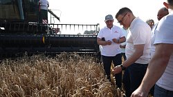 Алексей Текслер сел за руль белорусской сельхозтехники на полях Гомельщины