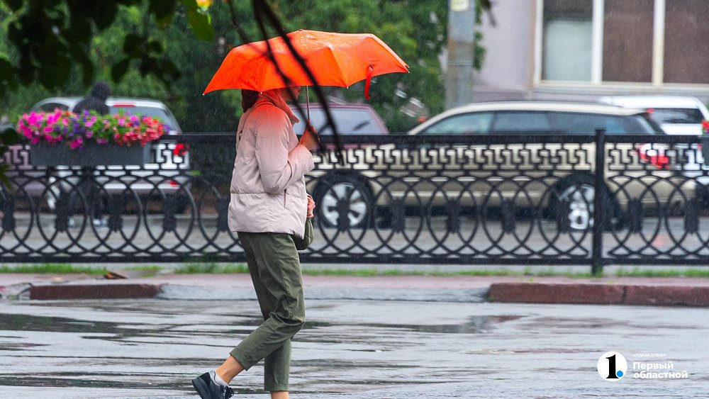 В Челябинской области пройдут дожди 11 августа