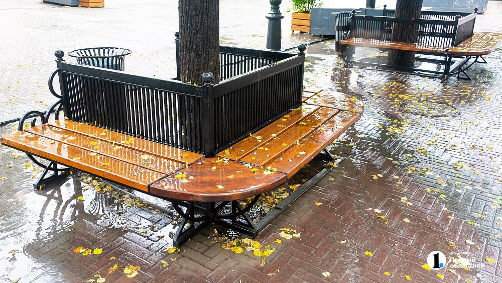 Прохладной и дождливой выдастся середина августа в Челябинской области