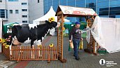 На «Агро-2025» привезли продукцию около 200 челябинских производителей