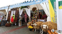 На «Агро-2025» привезли продукцию около 200 челябинских производителей