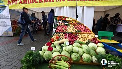 На «Агро-2025» привезли продукцию около 200 челябинских производителей