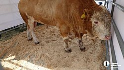 На «Агро-2025» привезли продукцию около 200 челябинских производителей