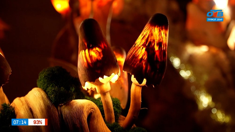 Светящееся дерево Ивана Верзакова в рубрике «Браво, мастер!»