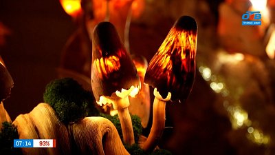 Светящееся дерево Ивана Верзакова в рубрике «Браво, мастер!»