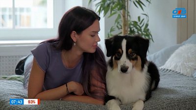 Как сделать самый милый портрет питомца? — в сюжете «Фотограф-анималист»