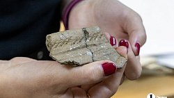 В центре Челябинска находят стоянки каменного века, которым 6 тысяч лет