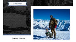 Фотографы ИА «Первое областное» взяли золото в международных конкурсах