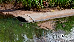 Спасатели использовали 12 мешков биоразлагаемого сорбента для очистки реки Миасс в Челябинске