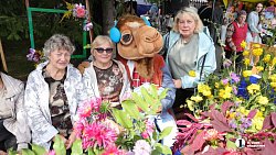 Городская выставка цветов и плодов прошла в Челябинске